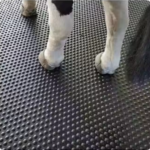 colchonetas de goma