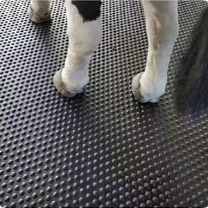 colchonetas de goma